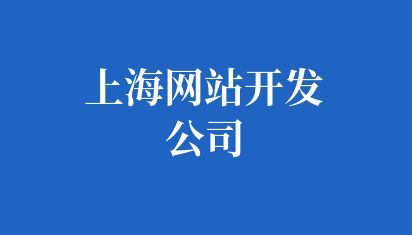 上海網(wǎng)站開(kāi)發(fā)公司